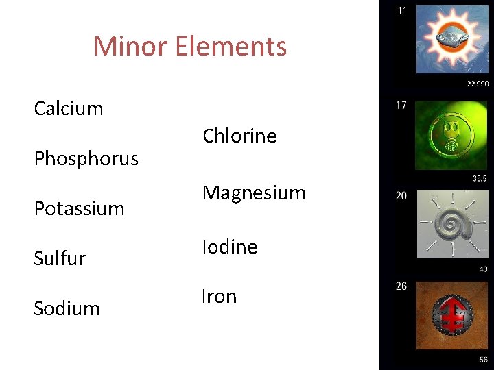 Minor Elements Calcium Phosphorus Potassium Sulfur Sodium Chlorine Magnesium Iodine Iron 