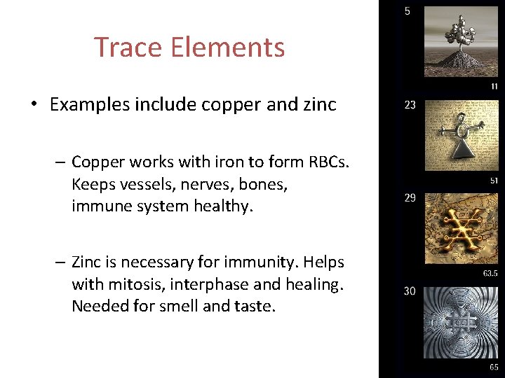 Trace Elements • Examples include copper and zinc – Copper works with iron to