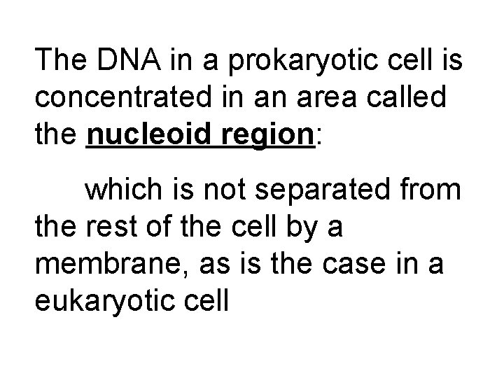 The DNA in a prokaryotic cell is concentrated in an area called the nucleoid