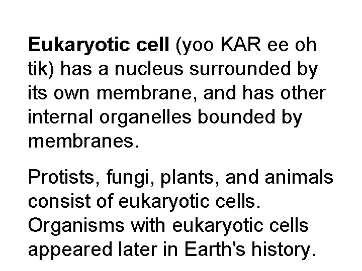 Eukaryotic cell (yoo KAR ee oh tik) has a nucleus surrounded by its own