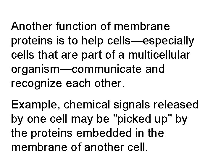 Another function of membrane proteins is to help cells—especially cells that are part of