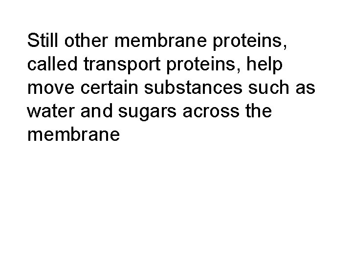 Still other membrane proteins, called transport proteins, help move certain substances such as water