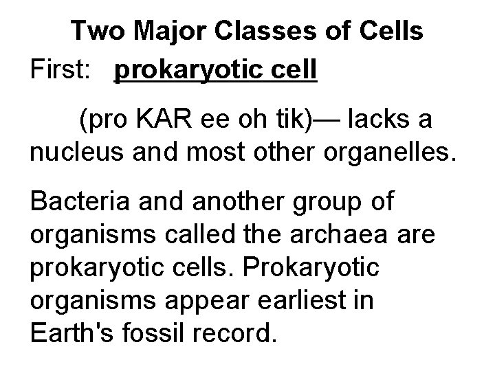 Two Major Classes of Cells First: prokaryotic cell (pro KAR ee oh tik)— lacks