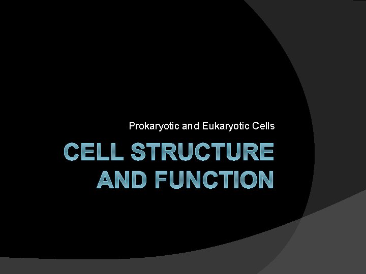 Prokaryotic and Eukaryotic Cells CELL STRUCTURE AND FUNCTION 