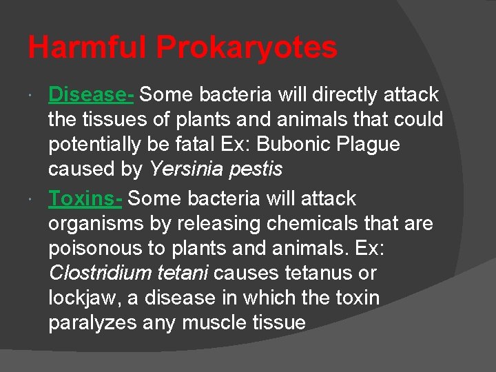 Harmful Prokaryotes Disease- Some bacteria will directly attack the tissues of plants and animals