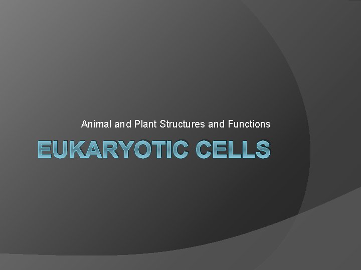 Animal and Plant Structures and Functions EUKARYOTIC CELLS 