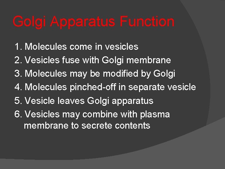 Golgi Apparatus Function 1. Molecules come in vesicles 2. Vesicles fuse with Golgi membrane