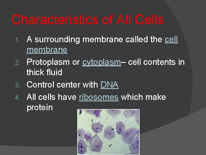 Characteristics of All Cells A surrounding membrane called the cell membrane 2. Protoplasm or