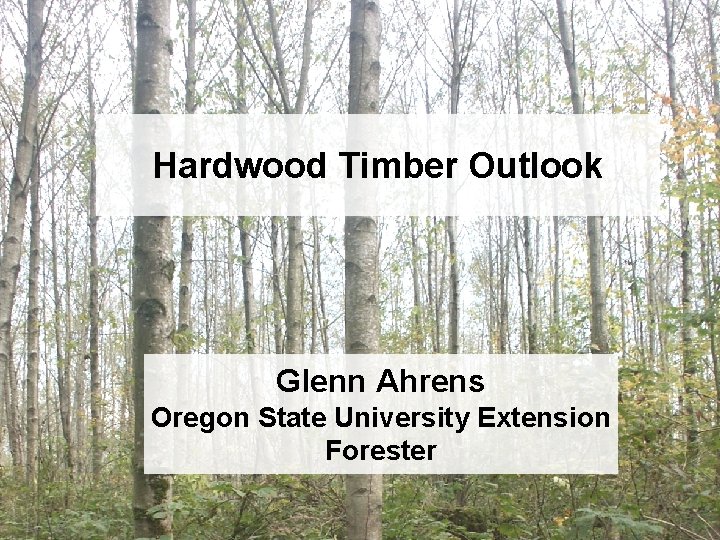 Hardwood Timber Outlook Glenn Ahrens Oregon State University Extension Forester 