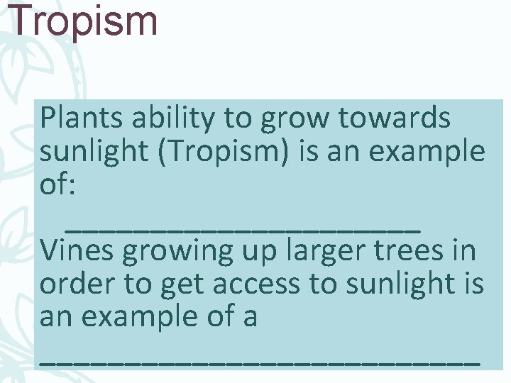 Tropism Plants ability to grow towards sunlight (Tropism) is an example of: ___________ Vines