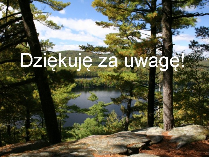 Dziękuję za uwagę! 