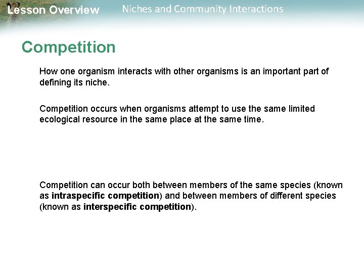 Lesson Overview Niches and Community Interactions Competition How one organism interacts with other organisms