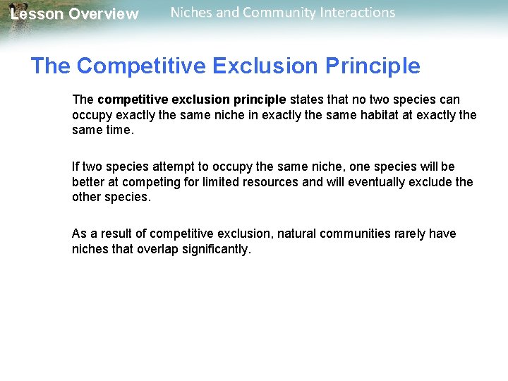 Lesson Overview Niches and Community Interactions The Competitive Exclusion Principle The competitive exclusion principle