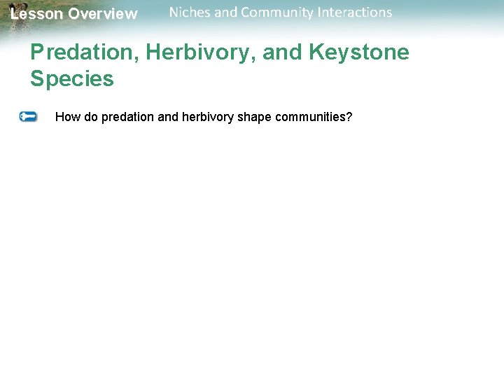 Lesson Overview Niches and Community Interactions Predation, Herbivory, and Keystone Species How do predation