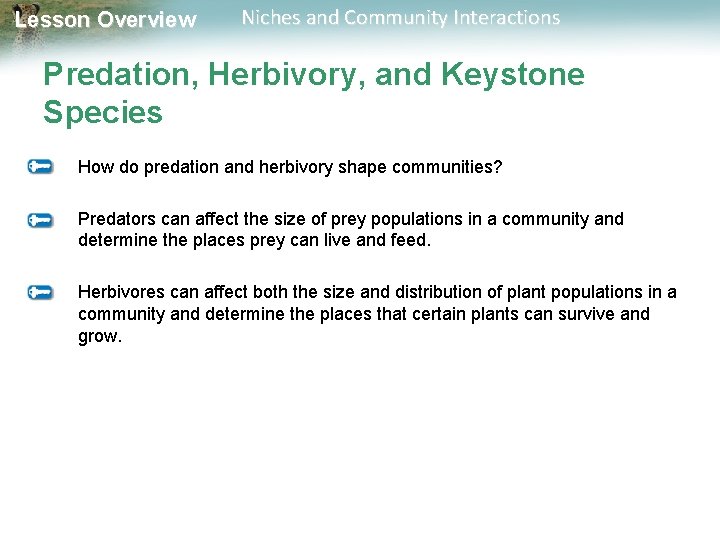 Lesson Overview Niches and Community Interactions Predation, Herbivory, and Keystone Species How do predation