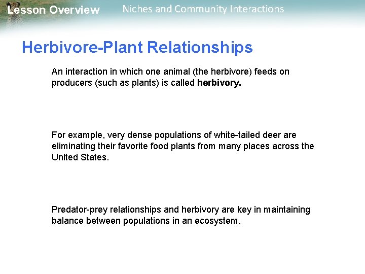 Lesson Overview Niches and Community Interactions Herbivore-Plant Relationships An interaction in which one animal