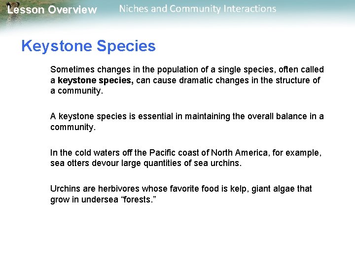 Lesson Overview Niches and Community Interactions Keystone Species Sometimes changes in the population of