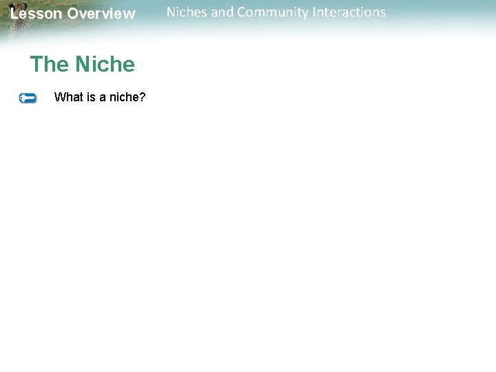 Lesson Overview The Niche What is a niche? Niches and Community Interactions 