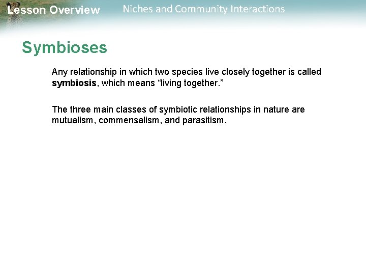 Lesson Overview Niches and Community Interactions Symbioses Any relationship in which two species live