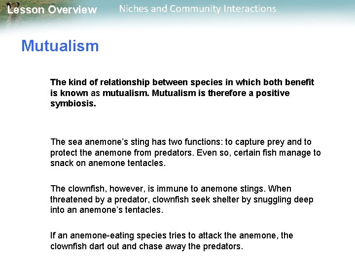 Lesson Overview Niches and Community Interactions Mutualism The kind of relationship between species in