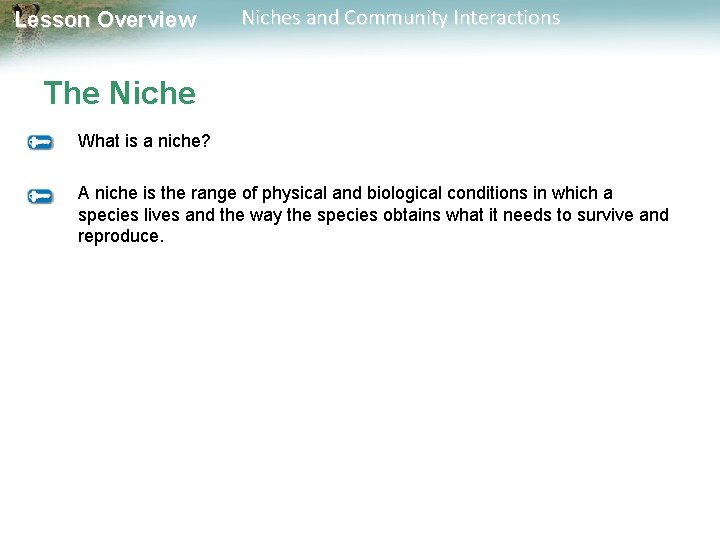 Lesson Overview Niches and Community Interactions The Niche What is a niche? A niche