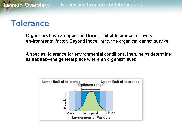 Lesson Overview Niches and Community Interactions Tolerance Organisms have an upper and lower limit