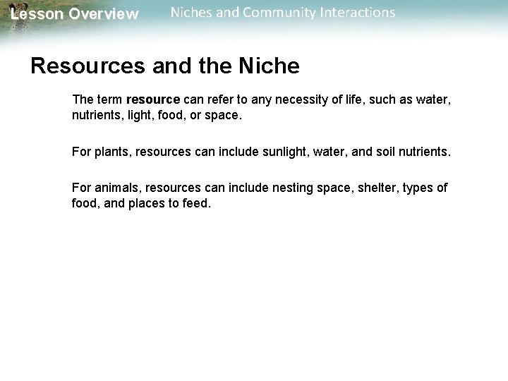 Lesson Overview Niches and Community Interactions Resources and the Niche The term resource can