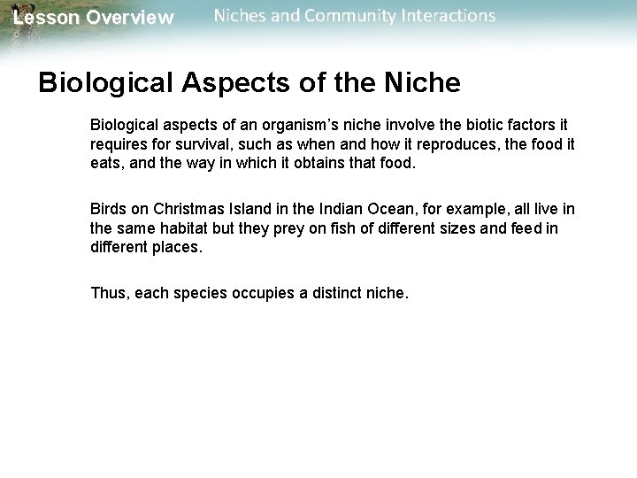 Lesson Overview Niches and Community Interactions Biological Aspects of the Niche Biological aspects of