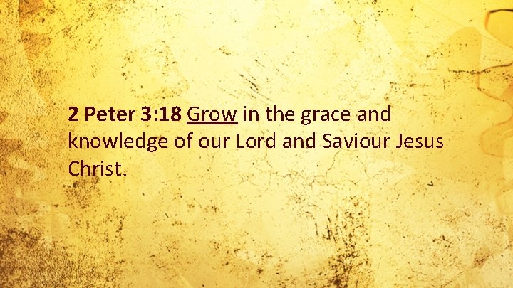 2 Peter 3: 18 Grow in the grace and knowledge of our Lord and