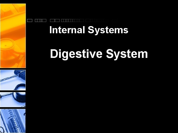 Internal Systems Digestive System 