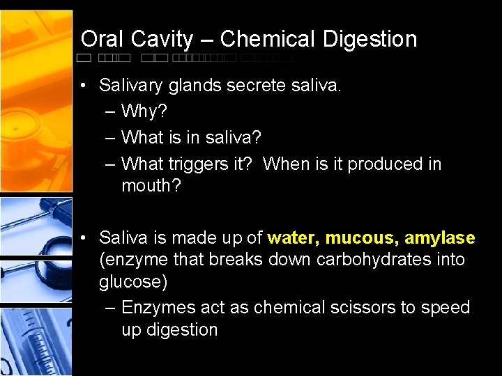 Oral Cavity – Chemical Digestion • Salivary glands secrete saliva. – Why? – What