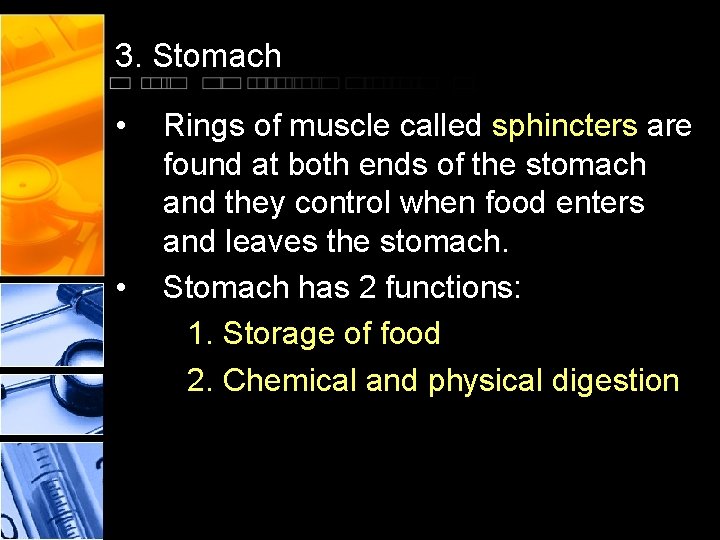 3. Stomach • • Rings of muscle called sphincters are found at both ends