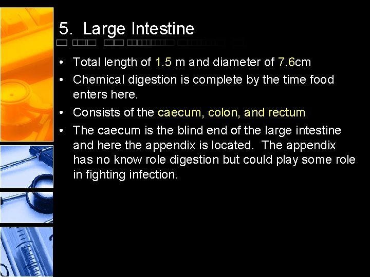 5. Large Intestine • Total length of 1. 5 m and diameter of 7.