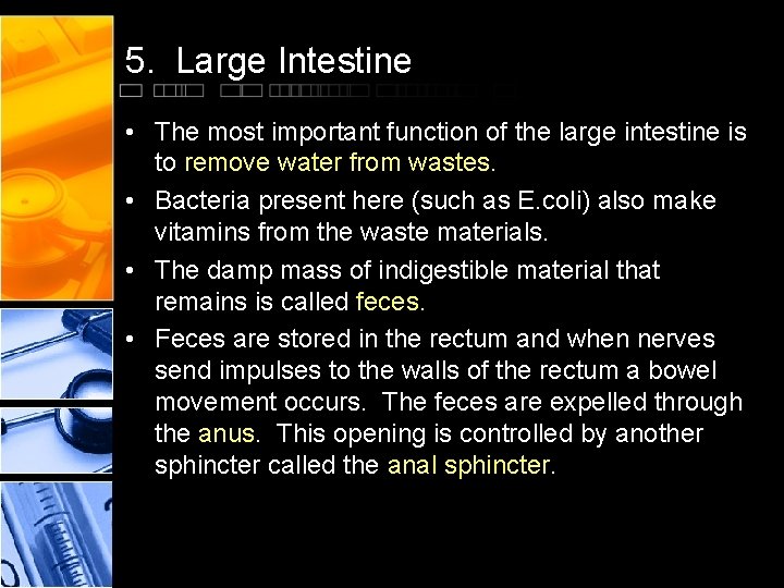 5. Large Intestine • The most important function of the large intestine is to