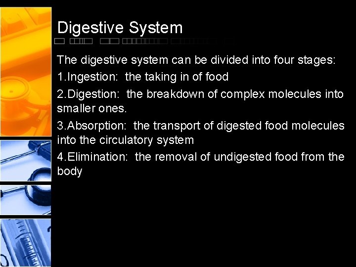 Digestive System The digestive system can be divided into four stages: 1. Ingestion: the