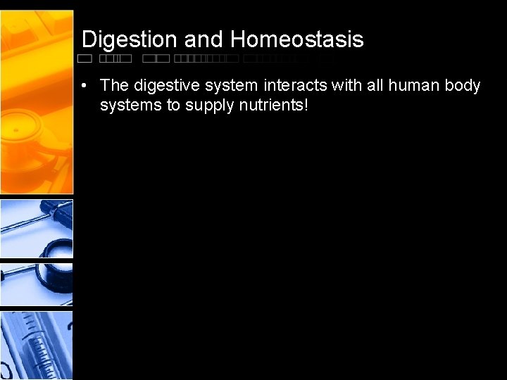 Digestion and Homeostasis • The digestive system interacts with all human body systems to