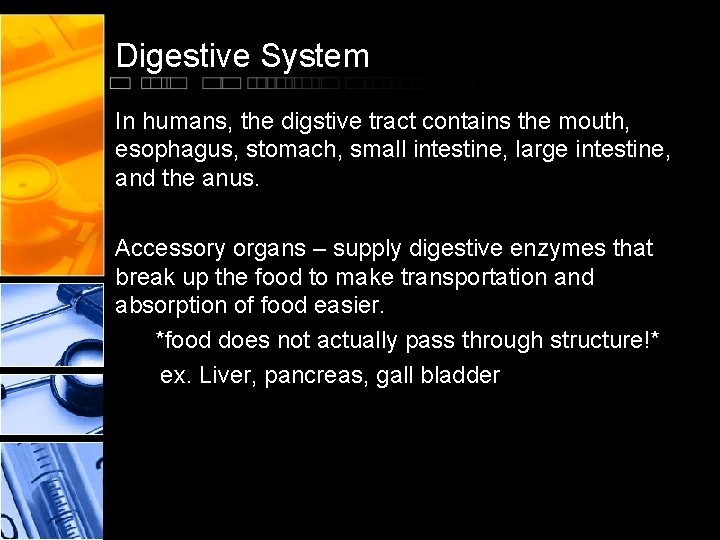 Digestive System In humans, the digstive tract contains the mouth, esophagus, stomach, small intestine,