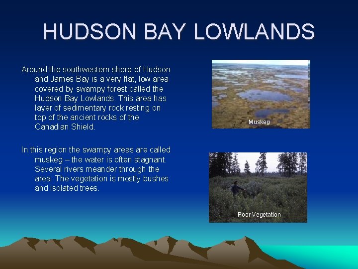 HUDSON BAY LOWLANDS Around the southwestern shore of Hudson and James Bay is a