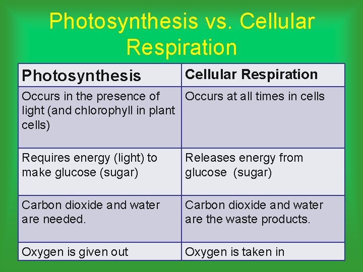 Photosynthesis vs. Cellular Respiration Photosynthesis Cellular Respiration Occurs in the presence of Occurs at