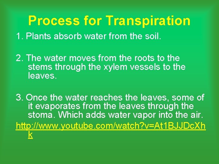 Process for Transpiration 1. Plants absorb water from the soil. 2. The water moves