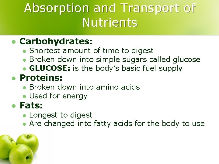 Absorption and Transport of Nutrients l Carbohydrates: l l Proteins: l l l Shortest