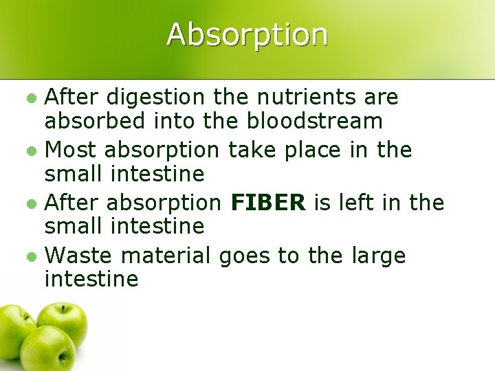 Absorption After digestion the nutrients are absorbed into the bloodstream l Most absorption take