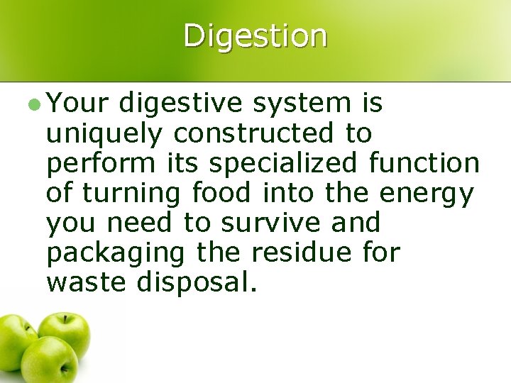 Digestion l Your digestive system is uniquely constructed to perform its specialized function of