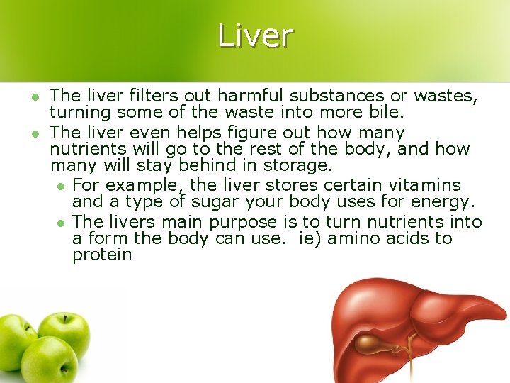 Liver l l The liver filters out harmful substances or wastes, turning some of