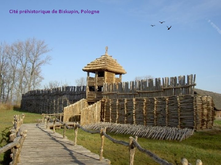 Cité préhistorique de Biskupin, Pologne 