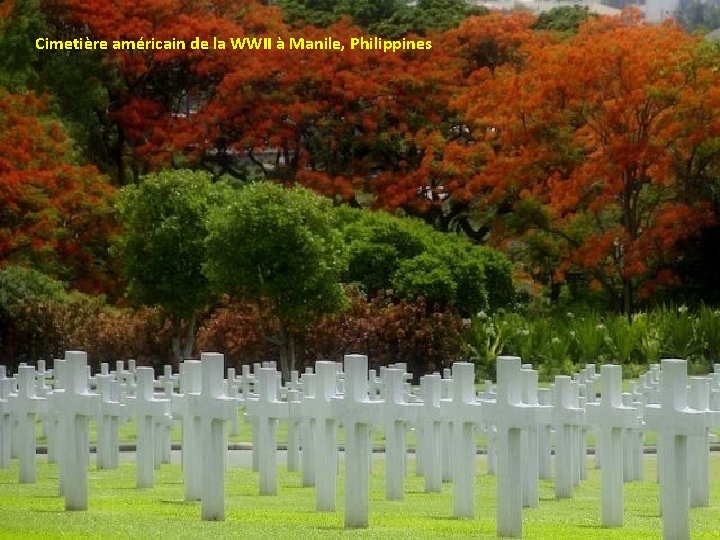 Cimetière américain de la WWII à Manile, Philippines 