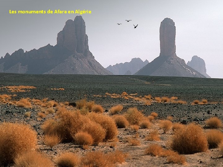 Les monuments de Afara en Algérie 