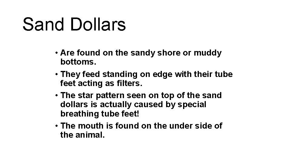 Sand Dollars • Are found on the sandy shore or muddy bottoms. • They
