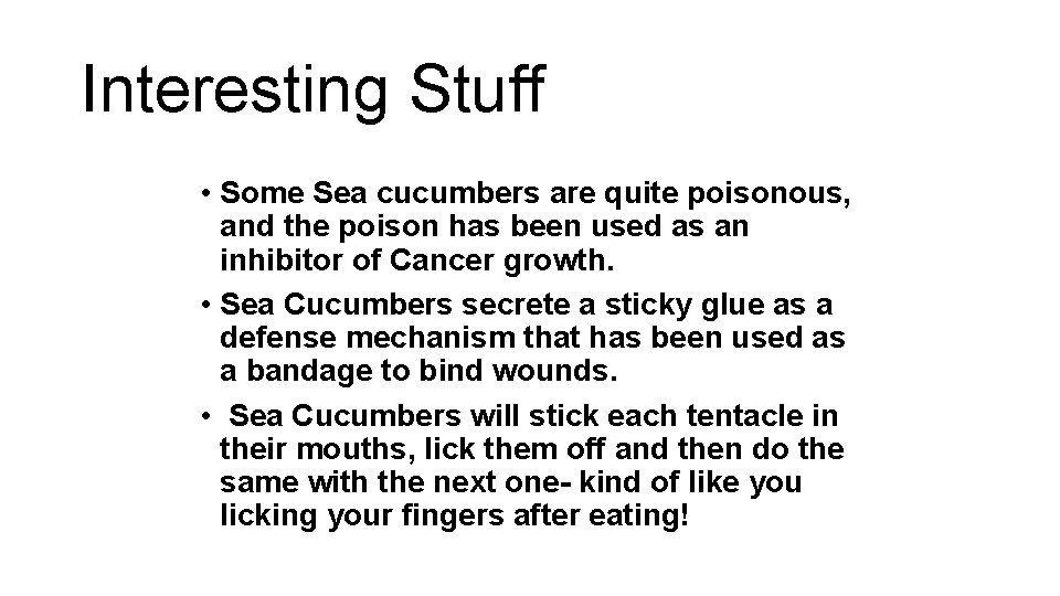 Interesting Stuff • Some Sea cucumbers are quite poisonous, and the poison has been