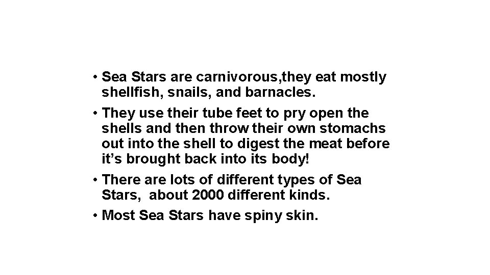  • Sea Stars are carnivorous, they eat mostly shellfish, snails, and barnacles. •